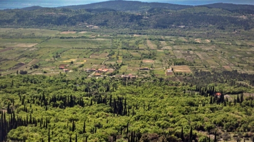 Farmland of app. 4400 m2 - flat terrain, arable land - Dubrovnik surrounding